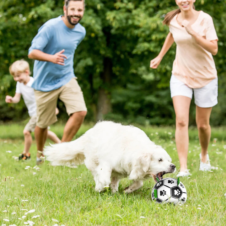 Dog Soccer Ball Toy with Tabs includes Free Pump Glow in the Dark or Standard in two sizes